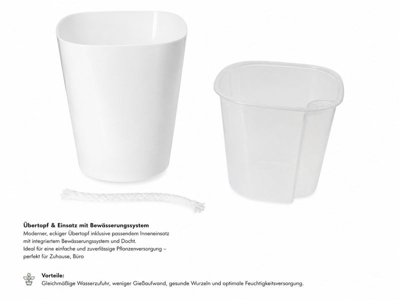 Selbstbewässerungstöpfe mit transparentem Inneneinsatz (9,5 cm)