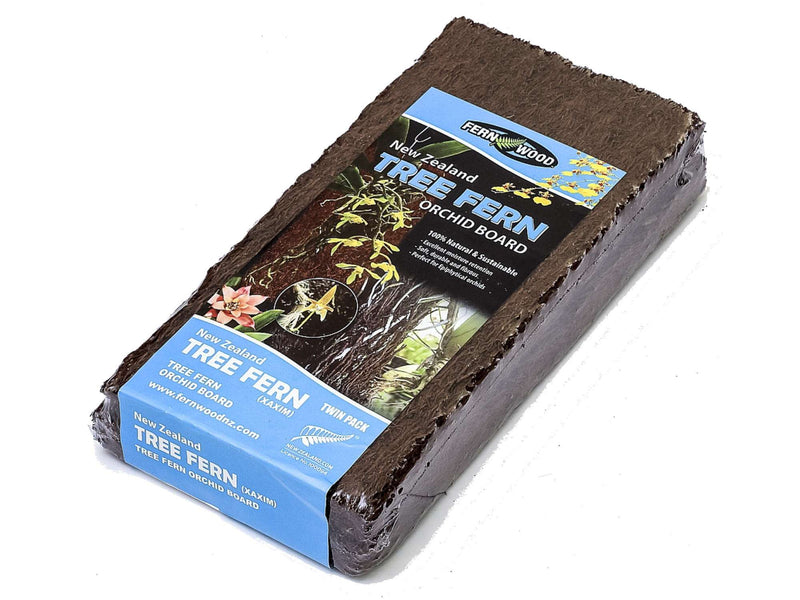 Baumfarn Platte 15 x 30cm