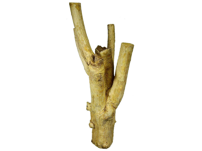 Holz - Kaffee Stamm   S