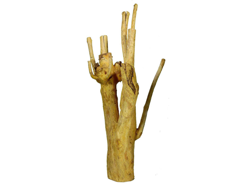 Holz - Kaffee Stamm L