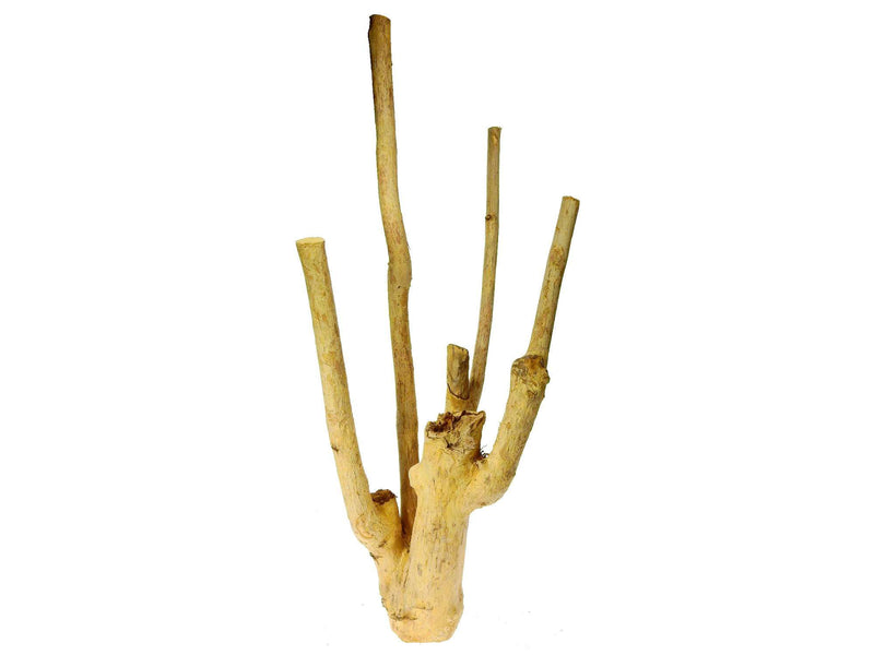 Holz - Kaffee Stamm L