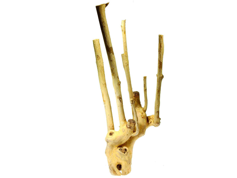 Holz - Kaffee Stamm L