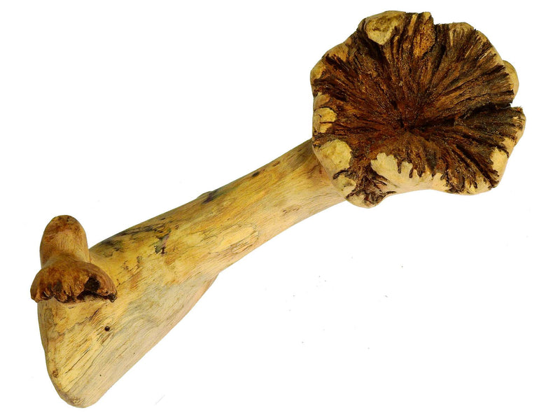 Holz - Zedrachholz  M