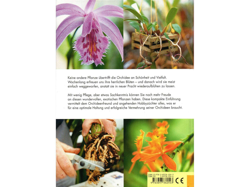 Edition XXL - Der perfekte Orchideenführer