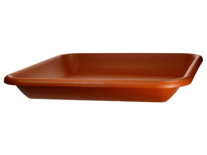 Orchideen Untersetzer 280